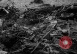 Image salvage équipage Royaume-Uni, 1940, de la seconde 50 séquences d'archives historiques vidéo 65675049622