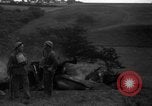 Standbild deutsche Flugzeuge Vereinigtes Königreich, 1940, aus Sekunde 6 historischem Filmmaterial Videoclip 65675049627