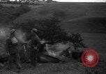 Standbild deutsche Flugzeuge Vereinigtes Königreich, 1940, aus Sekunde 9 historischem Filmmaterial Videoclip 65675049627
