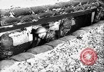 Image of British antiaircraft gun emplacements Battle of Britain United Kingdom, 1940, second 1 stock footage video 65675049634