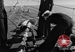 Image of Royal Navy fleet Atlantic Ocean, 1950, second 9 stock footage video 65675049648