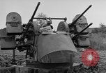 Image of Allied maneuvers Germany, 1950, second 42 stock footage video 65675049657