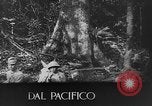 Image of Japanese soldiers China, 1943, second 19 stock footage video 65675049658