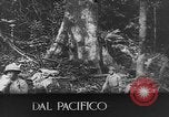 Image of Japanese soldiers China, 1943, second 20 stock footage video 65675049658