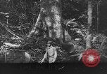 Image of Japanese soldiers China, 1943, second 21 stock footage video 65675049658