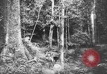Image of Japanese soldiers China, 1943, second 22 stock footage video 65675049658