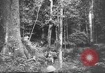 Image of Japanese soldiers China, 1943, second 23 stock footage video 65675049658