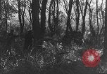 Image of German artillery European Theater, 1943, second 39 stock footage video 65675049659