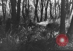 Image of German artillery European Theater, 1943, second 40 stock footage video 65675049659