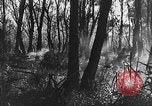 Image of German artillery European Theater, 1943, second 44 stock footage video 65675049659