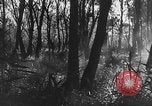 Image of German artillery European Theater, 1943, second 45 stock footage video 65675049659