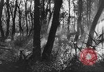 Image of German artillery European Theater, 1943, second 46 stock footage video 65675049659