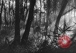 Image of German artillery European Theater, 1943, second 47 stock footage video 65675049659