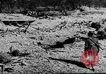 Image of German artillery European Theater, 1943, second 62 stock footage video 65675049659