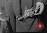Image of Italian aviators Eastern Front European Theater, 1943, second 22 stock footage video 65675049660