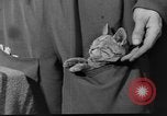 Image of Italian aviators Eastern Front European Theater, 1943, second 23 stock footage video 65675049660