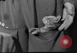Image of Italian aviators Eastern Front European Theater, 1943, second 24 stock footage video 65675049660
