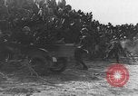 Immagine di Italiano truppe Quartermaster Tunisia Africa del Nord, 1943, secondo 9 filmato di repertorio 65675049661