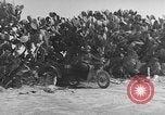 Immagine di Italiano truppe Quartermaster Tunisia Africa del Nord, 1943, secondo 11 filmato di repertorio 65675049661