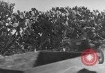 Immagine di Italiano truppe Quartermaster Tunisia Africa del Nord, 1943, secondo 12 filmato di repertorio 65675049661