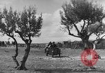 Immagine di Italiano truppe Quartermaster Tunisia Africa del Nord, 1943, secondo 28 filmato di repertorio 65675049661