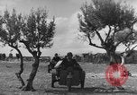 Immagine di Italiano truppe Quartermaster Tunisia Africa del Nord, 1943, secondo 31 filmato di repertorio 65675049661