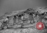 Image of Alpine soldiers Passo Rolle Italy, 1938, second 31 stock footage video 65675049675