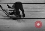 Image of wrestling New York United States USA, 1938, second 20 stock footage video 65675049677