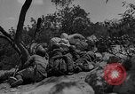Immagine di Guerra civile spagnola Amposta Spagna, 1938, secondo 8 filmato di repertorio 65675049679