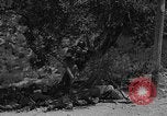 Immagine di Guerra civile spagnola Amposta Spagna, 1938, secondo 9 filmato di repertorio 65675049679
