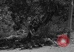 Immagine di Guerra civile spagnola Amposta Spagna, 1938, secondo 10 filmato di repertorio 65675049679
