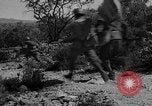Immagine di Guerra civile spagnola Amposta Spagna, 1938, secondo 19 filmato di repertorio 65675049679