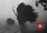 Standbild Hurricane Panama City Florida USA, 1936, aus Sekunde 25 historischem Filmmaterial Videoclip 65675049684