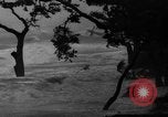 Standbild Hurricane Panama City Florida USA, 1936, aus Sekunde 34 historischem Filmmaterial Videoclip 65675049684