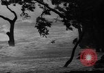 Standbild Hurricane Panama City Florida USA, 1936, aus Sekunde 36 historischem Filmmaterial Videoclip 65675049684