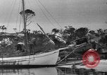 Standbild Hurricane Panama City Florida USA, 1936, aus Sekunde 61 historischem Filmmaterial Videoclip 65675049684