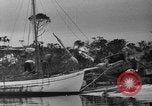 Standbild Hurricane Panama City Florida USA, 1936, aus Sekunde 62 historischem Filmmaterial Videoclip 65675049684