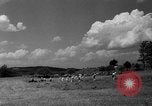 Standbild Farm Auburn Maine USA, 1936, aus Sekunde 12 historischem Filmmaterial Videoclip 65675049685