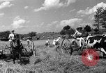 Standbild Farm Auburn Maine USA, 1936, aus Sekunde 17 historischem Filmmaterial Videoclip 65675049685
