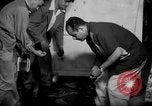 Image of Puerto Rican revolutionaries Puerto Rico, 1954, second 25 stock footage video 65675049718