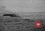Standbild Woodrow Wilson Washington DC USA, 1917, aus Sekunde 14 historischem Filmmaterial Videoclip 65675049720