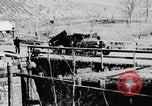 Standbild Landwirte Sioux City Iowa USA, 1933, aus Sekunde 21 historischem Filmmaterial Videoclip 65675049744