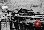 Standbild Landwirte Sioux City Iowa USA, 1933, aus Sekunde 22 historischem Filmmaterial Videoclip 65675049744