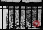 Immagine di Linciaggio in Saint James Park San Jose California USA, 1933, secondo 41 filmato di repertorio 65675049749