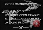 Immagine di Oche selvatiche Tule Lake California USA, 1933, secondo 3 filmato di repertorio 65675049751