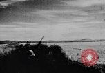 Immagine di Oche selvatiche Tule Lake California USA, 1933, secondo 17 filmato di repertorio 65675049751