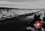 Immagine di Oche selvatiche Tule Lake California USA, 1933, secondo 29 filmato di repertorio 65675049751