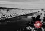 Immagine di Oche selvatiche Tule Lake California USA, 1933, secondo 32 filmato di repertorio 65675049751