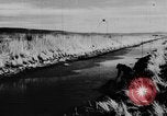 Immagine di Oche selvatiche Tule Lake California USA, 1933, secondo 33 filmato di repertorio 65675049751