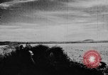 Immagine di Oche selvatiche Tule Lake California USA, 1933, secondo 35 filmato di repertorio 65675049751